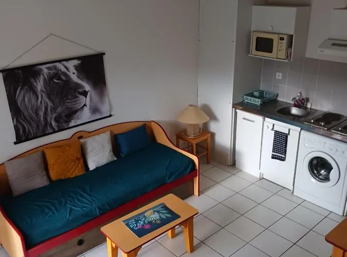 펜션 T3 La Savane Geniez D'olt 2 Piscines Chauffees Dans Charmante De